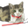 okzkey