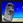 tahitian_games