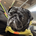 pugmaru@GMO Flatt Security