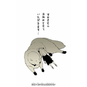 Yuto_Shimmyo