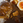 MaruoCurry