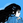 takako