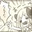 totsuro