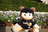 【オンライン】Salesforce女子部 Tokyo #60 〜心温まる春のさいころトーク～