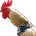 tk