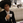 shiny_1357