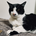 Shunsuke