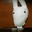 satoru_takeuchi