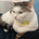 Ryo
