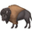 bison