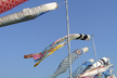TAKKATHON  - during the golden week -