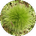 Mu3