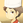 クロサバフグ