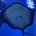 fuyu28