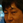 hnii