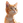 koutaro