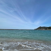 view0608