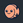 yunsalmon