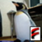 NetPenguin