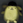 Very Good Purin (VGP)