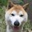 tomoyukun