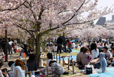 C++BBQ会