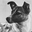 myLifeAsaDog