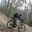 ddmtbb