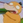 platypus_yoshi