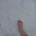 erika_akmt