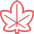 miyamu