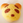 はなち