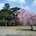 HiroyukiShinkai