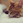 nyanko-box