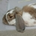 maru333