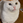 がじまる