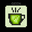 gyokuro06