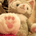midori_kawaguchi_50