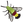 YO