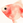 azkingyo
