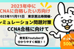 2023年にCCNA合格したい人向け！CCNA勉強会 11月11日開催