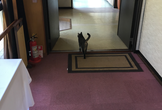 もくもく温泉 開発合宿 #11