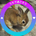 hyper_
