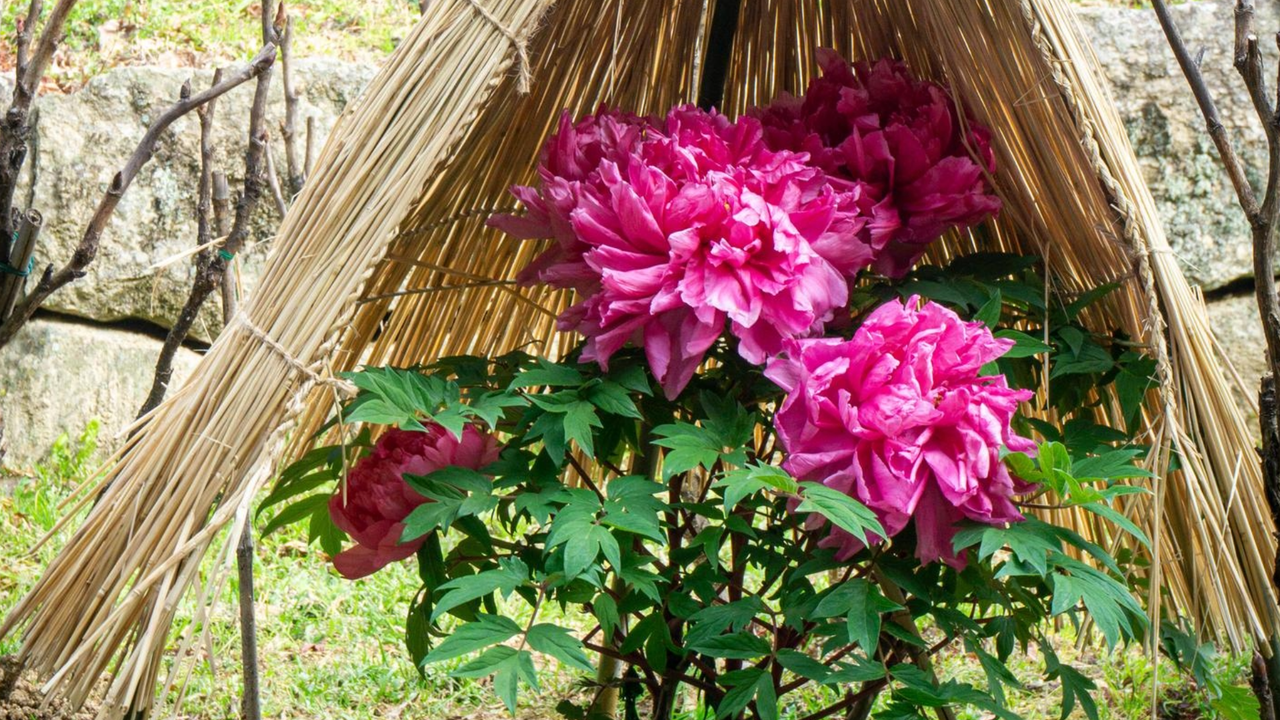 Tech Achieversの会#76