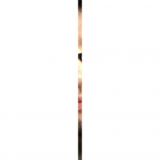moxus