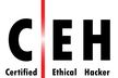 CEH(Certified Ethical Hacker) 試験勉強会オンライン