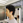 朝味噌汁会会長