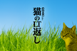 【なんでもLT&交流会】猫のLT返し ~風になる~ @大阪