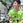 toshinari_nakamura