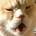 kobayashi_masahiro